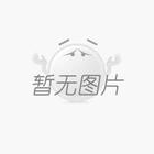 浙江邦強 百絲特6：1環型穿絲吊帶1